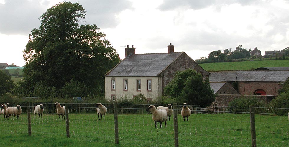 Hallsford Farm